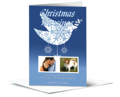 Christmas Snow Dove Family Style Cards with Envelope 5.50